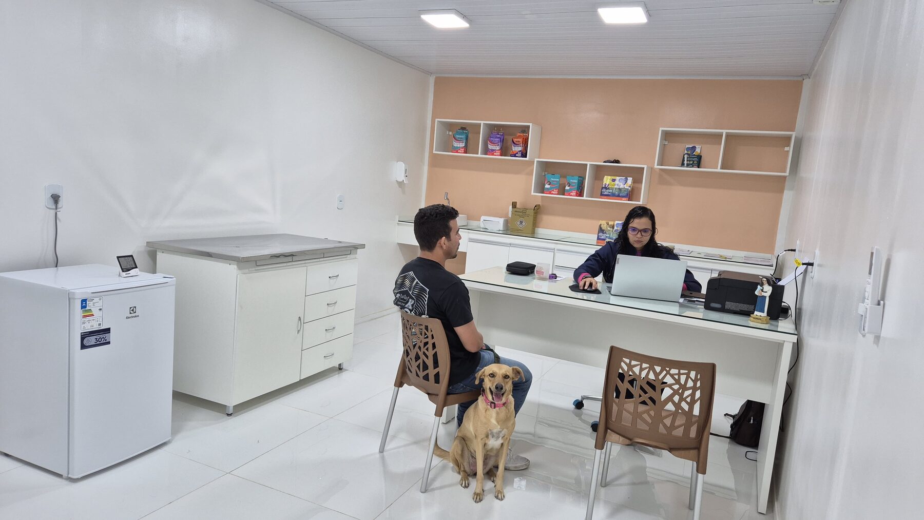 Equipe do Recanto acompanhando de perto o atendimento de um pet