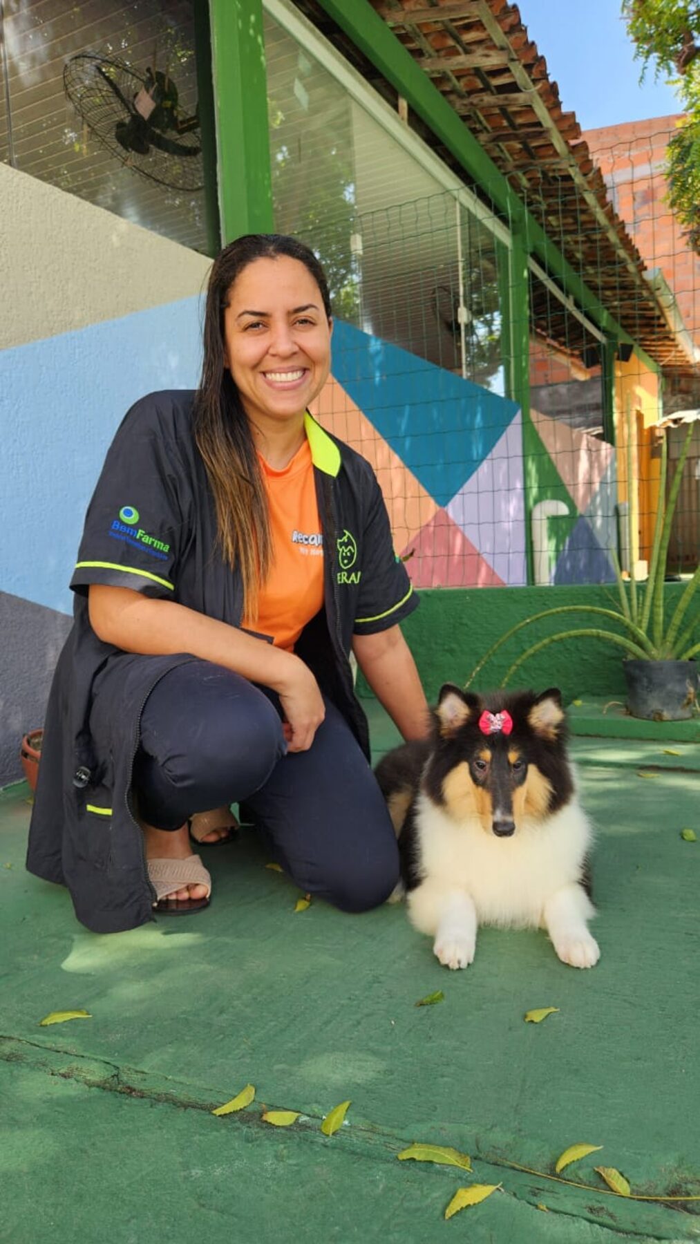 Filhote de collie recebendo carinho da equipe do Recanto
