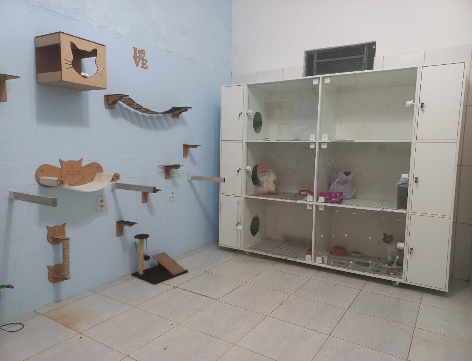 Sala de recreação e hospedagem dos gatos